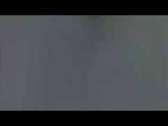 potentiometer knob (2)